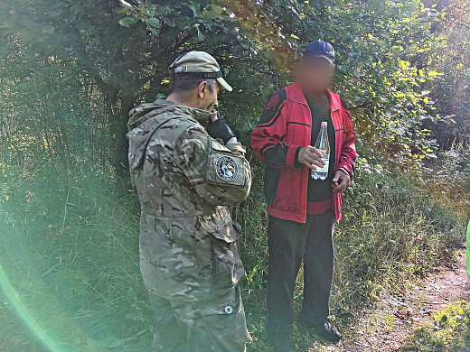 Заблудился в лесу — нашёлся на путях: хроника поиска грибника в Ивановской области